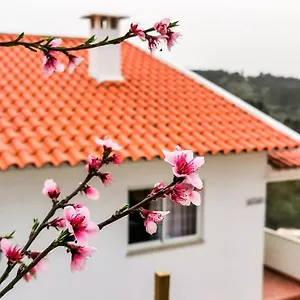 O Refúgio , Coímbra Portugal